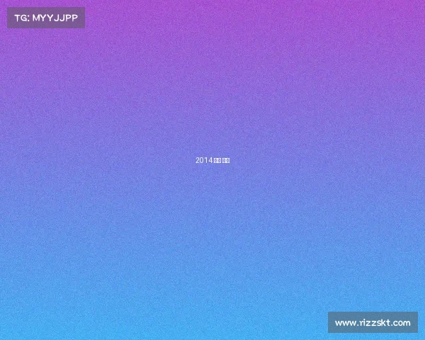 2014 上海 电竞